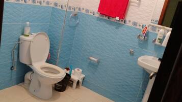A bathroom with a toilet, sink, and a blue and white tiled wall.