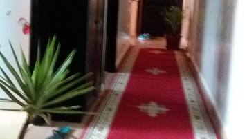 Un pasillo con alfombra roja, una planta en maceta y un refrigerador con imágenes de frutas en la pared.