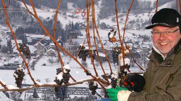 Une personne tenant une grappe de raisins, les branches étant recouvertes de neige, se tient dans un paysage enneigé avec des maisons en arrière-plan.