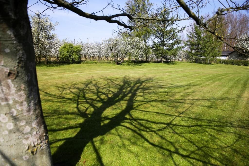 A well-maintained grassy lawn with shadows of trees, surrounded by blooming trees and a clear sky.