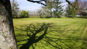 Un césped cuidado con sombras de árboles, rodeado de árboles en flor y un cielo despejado.