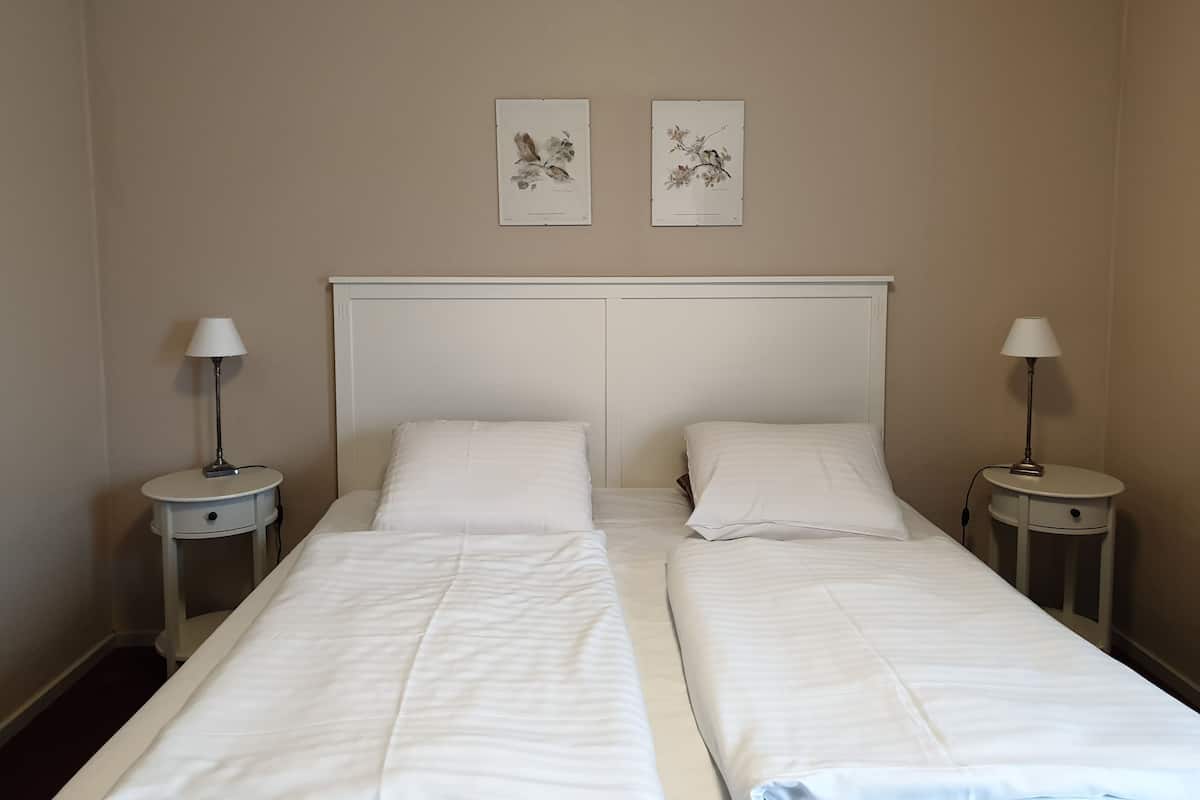 Dobbeltværelse med dobbeltseng eller 2 enkeltsenge - 1 queensize-seng - ikke-ryger | Skrivebord, mørklægningsgardiner, lydisolering, strygejern/strygebræt
