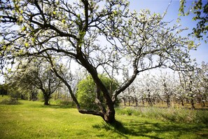 Detalle del exterior