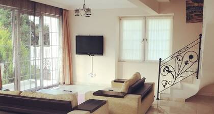 Blue House Villas-Apart