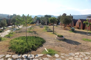 Puutarha