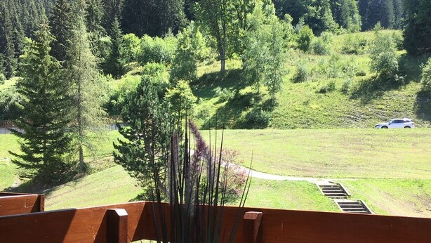 Terraza de madera con una mesa preparada para comer, con vistas a un paisaje cubierto de césped, árboles y un coche a lo lejos.