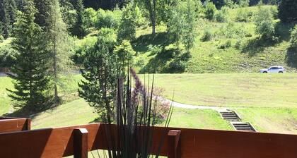 Magnifique Duplex au pied des pistes - VALMOREL