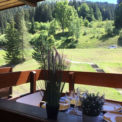 Beautiful Duplex at the foot of the slopes - VALMOREL