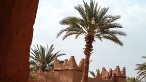 Property grounds - Kasbah Ait Isfoul (Tagounite)
