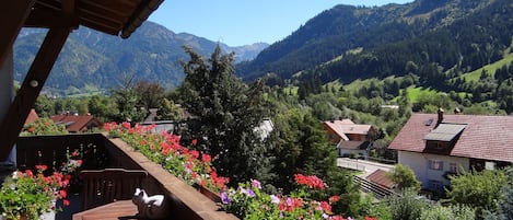 Land view from property