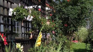 Jardin