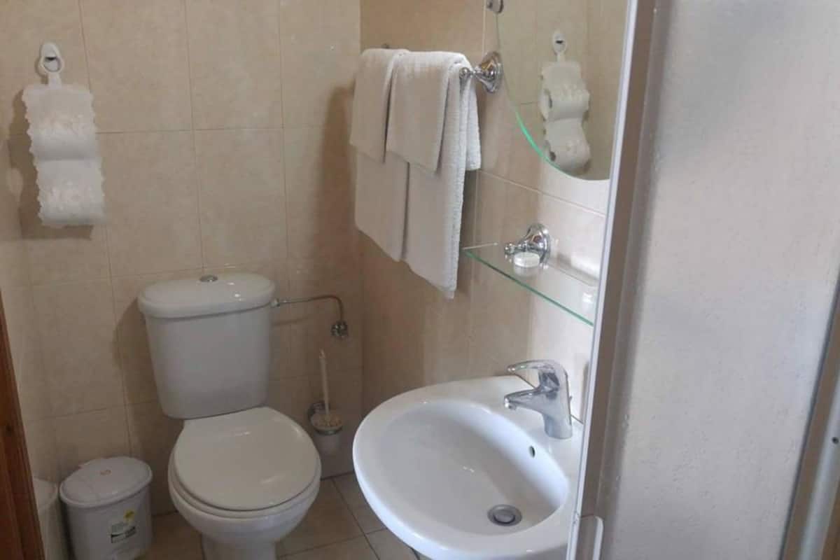 basic double or twin room, mountain view | bathroom | shower, free toiletries, hair dryer, towels