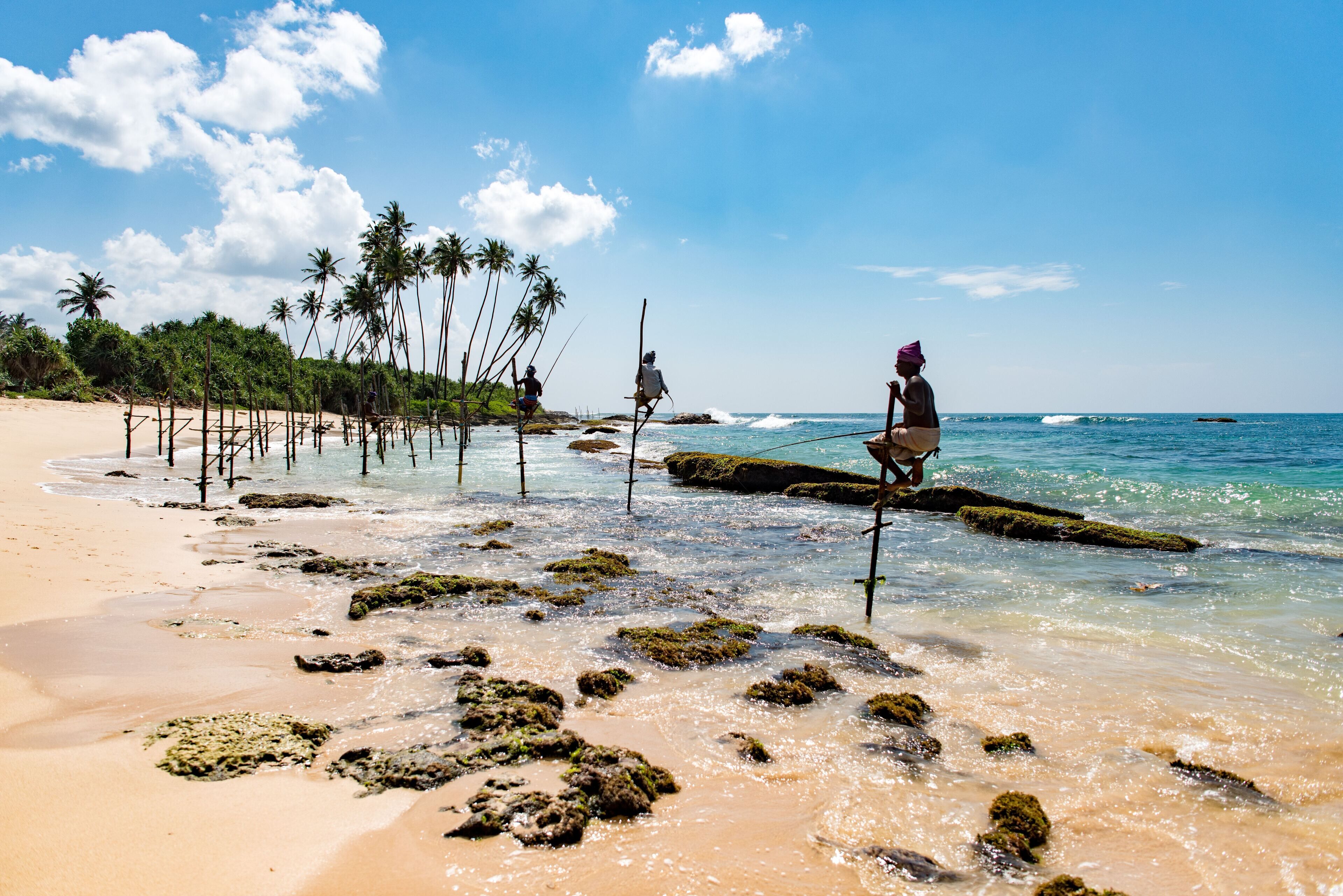 A beach with clear water, palm trees, and rocks.