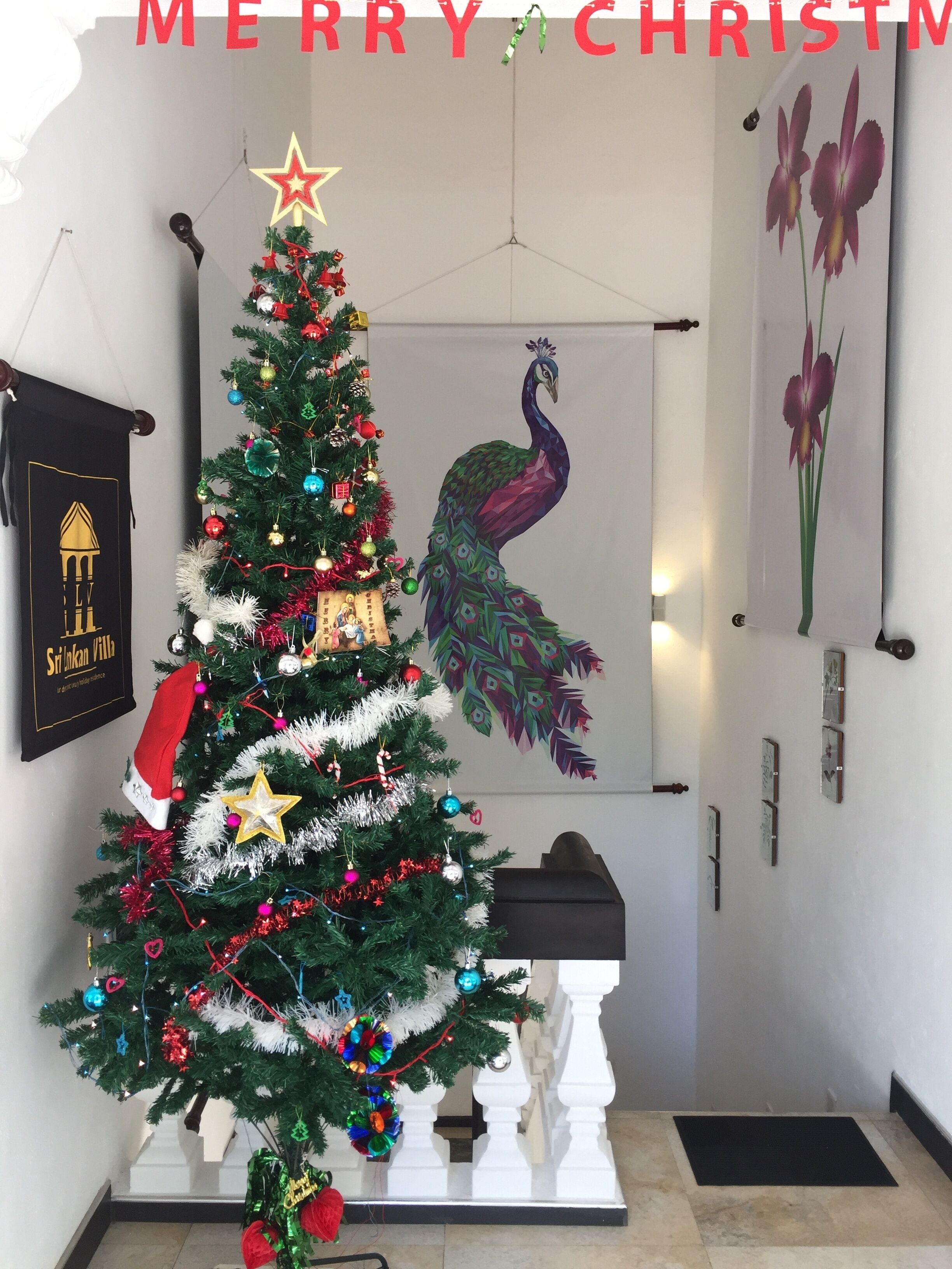 Un árbol de Navidad adornado con adornos y una estrella en la parte superior, una pintura de un pavo real y un cuadro enmarcado con flores.