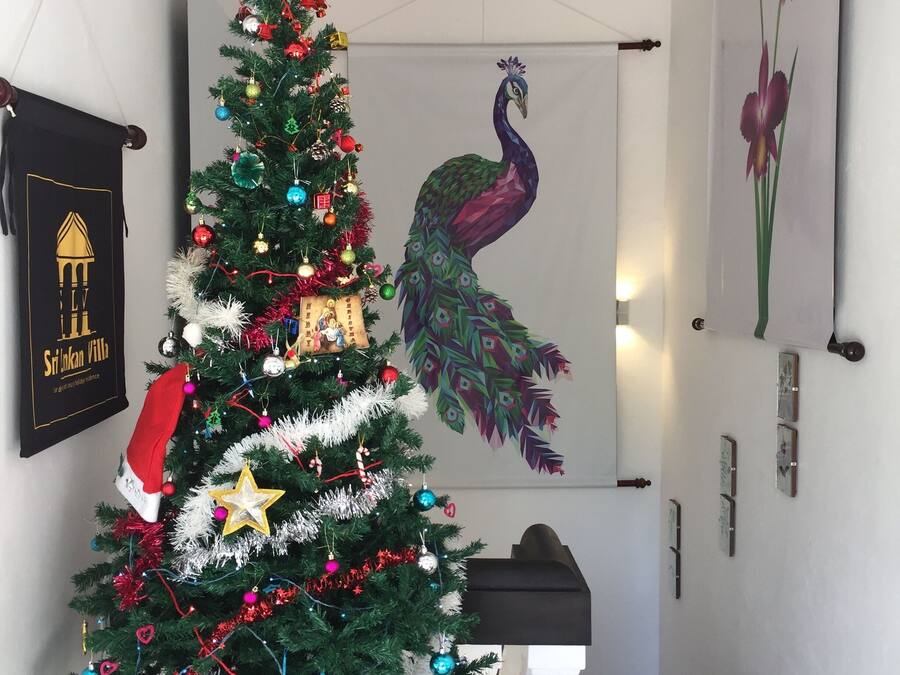 Un árbol de Navidad adornado con adornos y una estrella en la parte superior, una pintura de un pavo real y un cuadro enmarcado con flores.