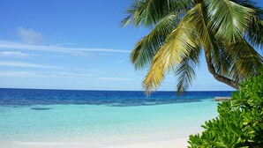 A beach with clear turquoise water, a palm tree, and a clear blue sky. - Sri Lankan Villa (Koggala)