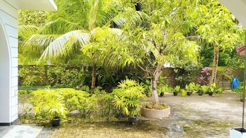 Un patio con diversas plantas en macetas y árboles, un sendero empedrado y una pared cubierta de plantas trepadoras.