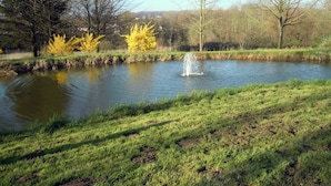 Um lago com uma fonte, cercado por grama e árvores.