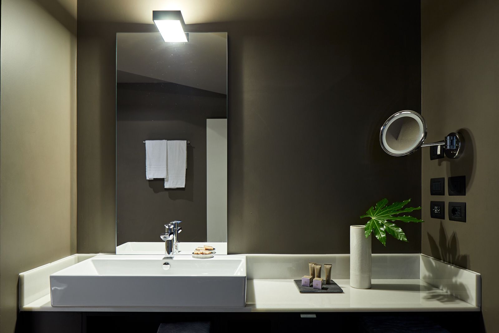 A modern bathroom with a large mirror, a white sink, and a small plant on the vanity.