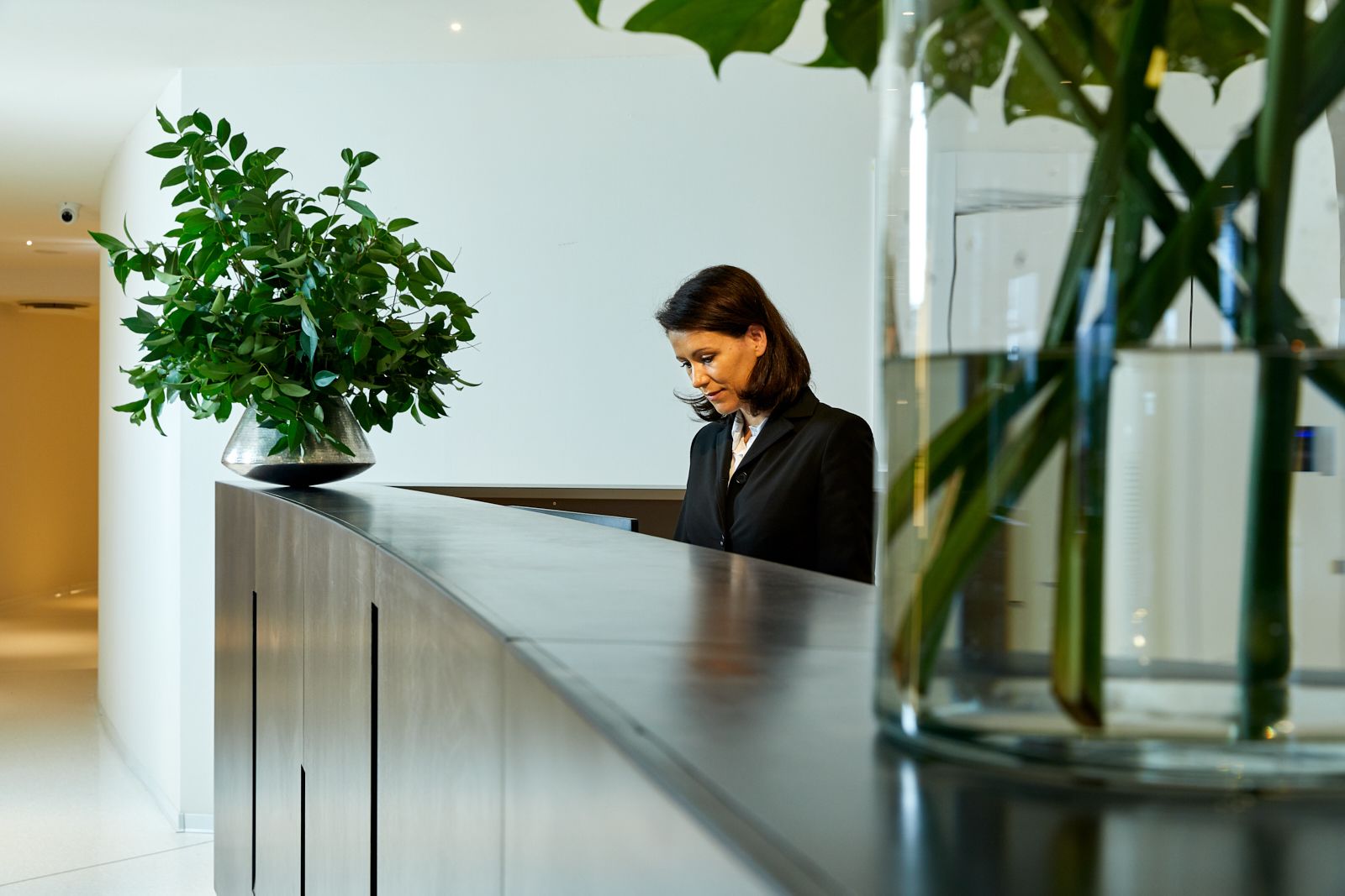 Zona de recepción con recepcionista, un mostrador moderno y una planta grande en maceta.