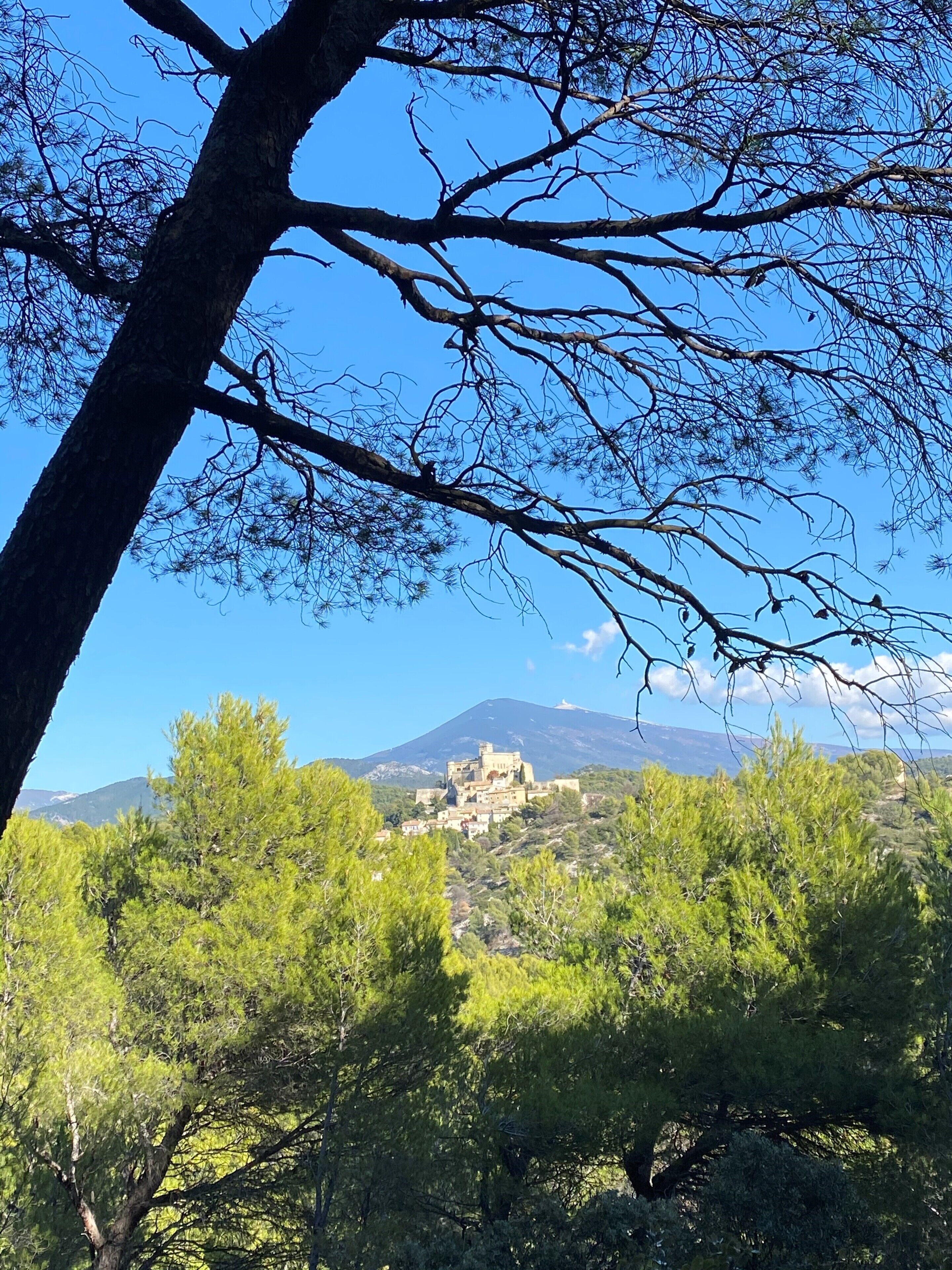 Paisatge montanyós amb un edifici històric sobre un turó, envoltat d'arbres verds i frondosos.