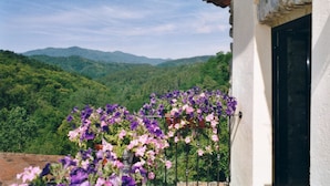 A building with a black door, surrounded by lush greenery and mountains in the background. - B&B Il Tulipano (Ricco del Golfo di Spezia)