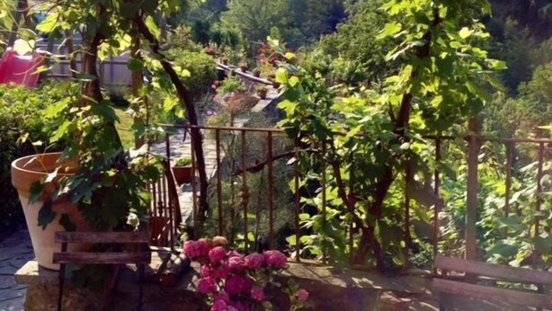 A garden with a wooden bench, a potted plant, and a metal fence. - B&B Il Tulipano (Ricco del Golfo di Spezia)