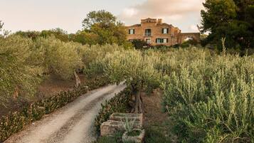 DĂ©tail de lâextĂ©rieur