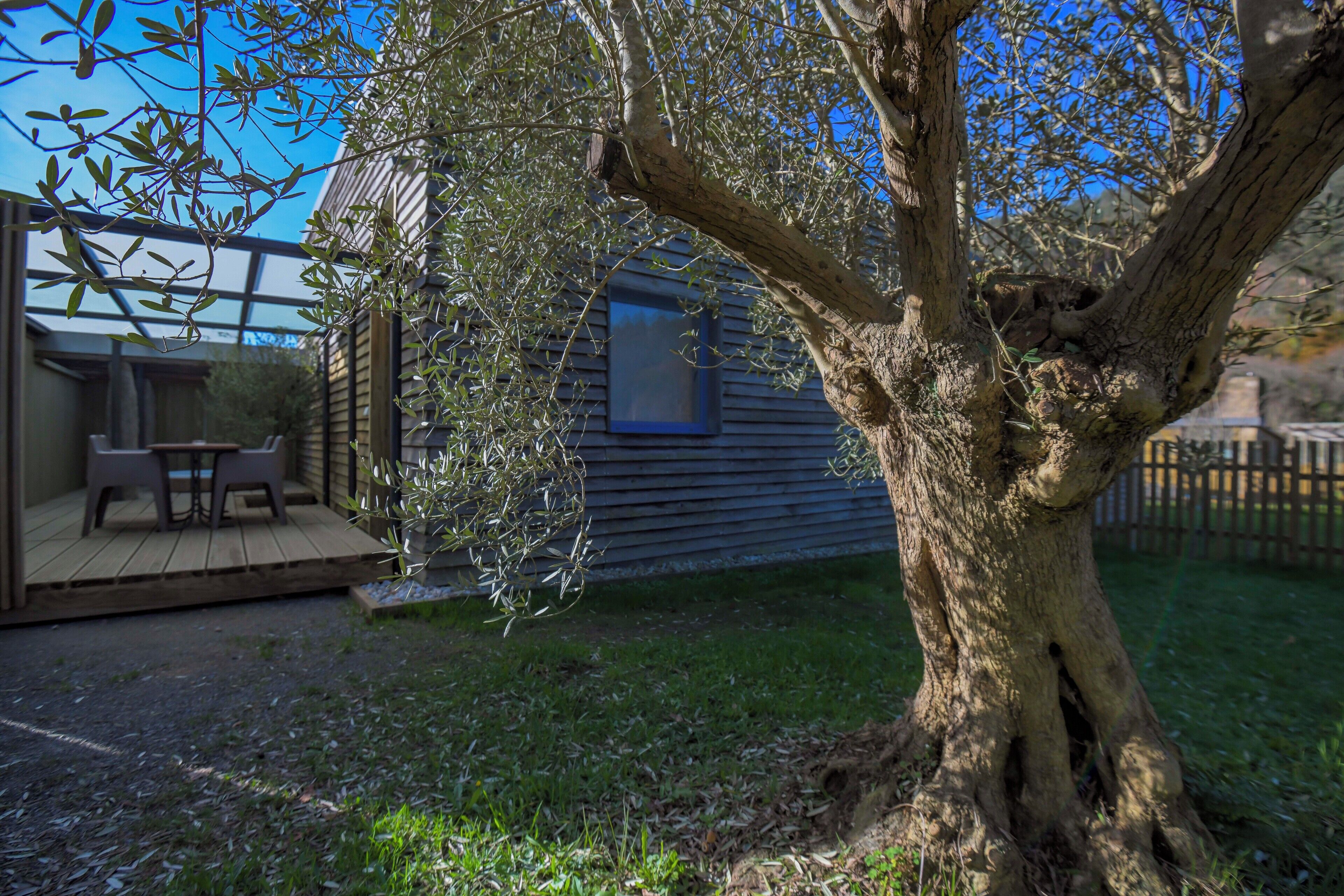 Una terraza de madera con mobiliario exterior, un árbol y una casa con ventana.