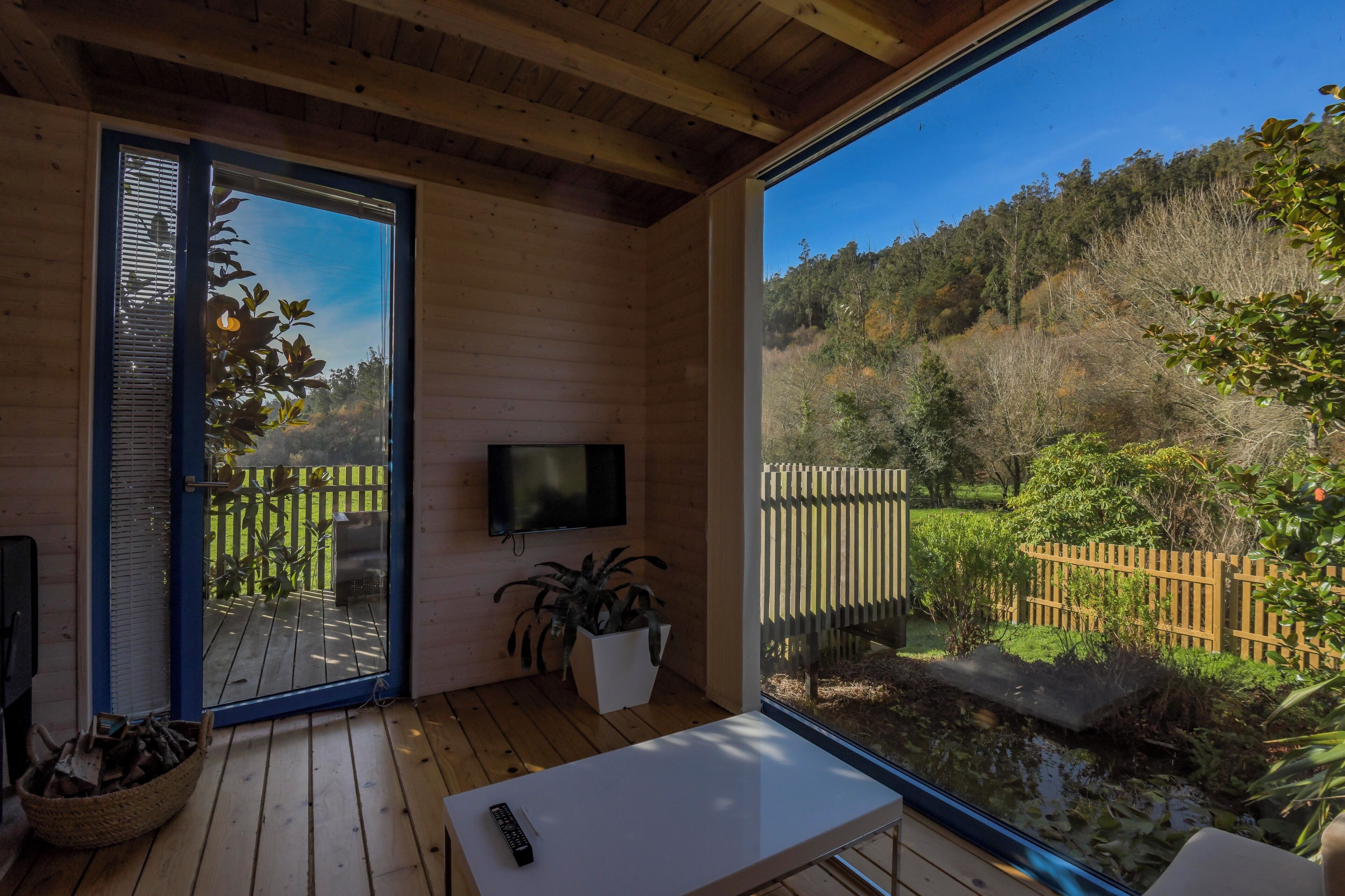 Una terraza de madera con un televisor, una planta en maceta y un control remoto sobre una mesa.