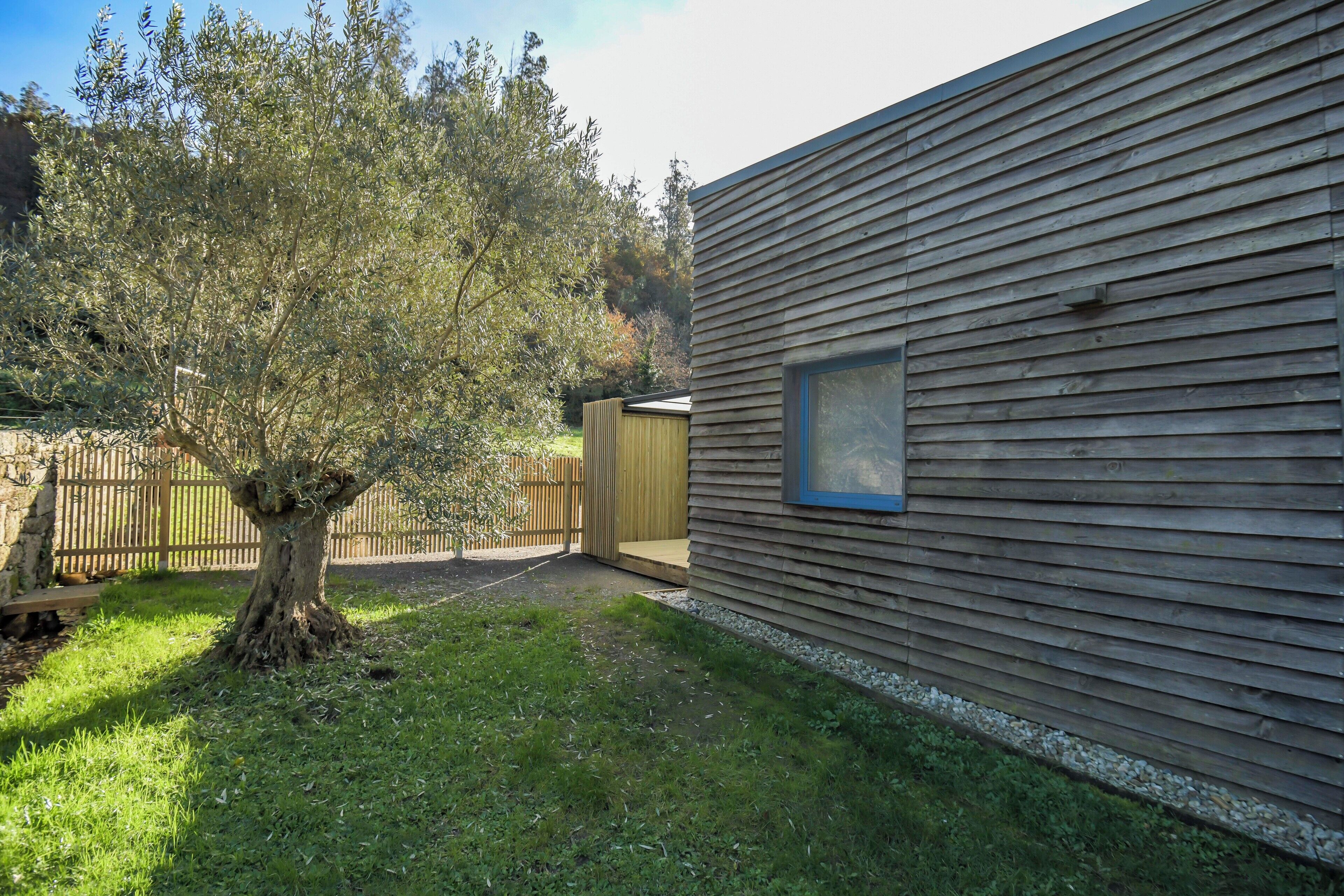 A wooden building with a window and a tree in the yard.