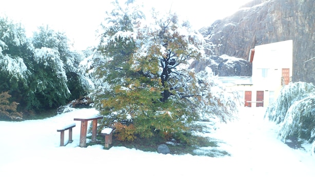 Ett snötäckt landskap med en träbänk, ett träd och en byggnad i bakgrunden.