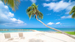Ein Strand mit zwei Liegestühlen und einer Palme.