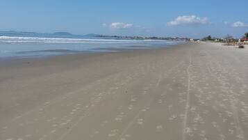 Playa en los alrededores