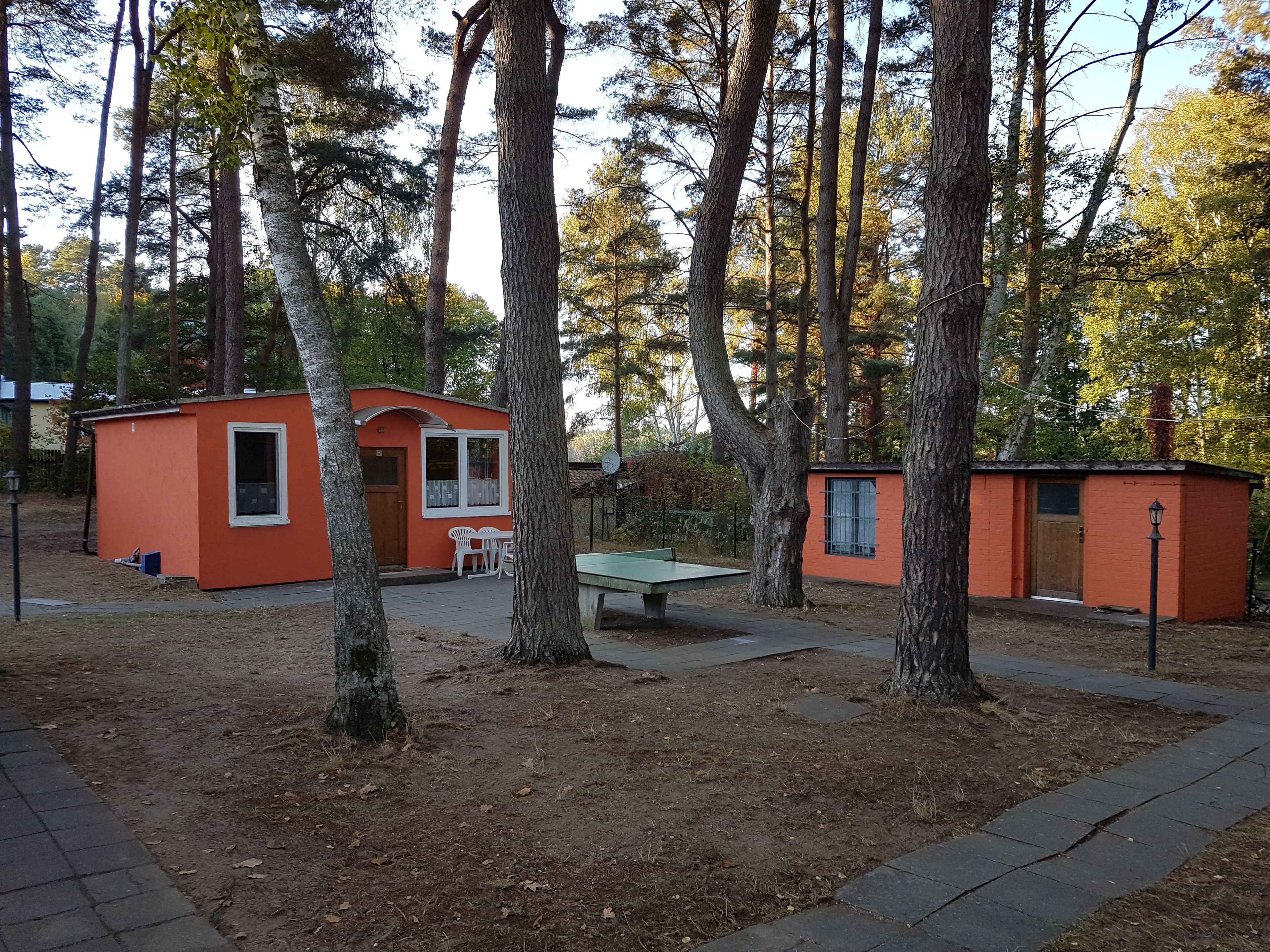 Una pequeña cabaña anaranjada con una ventana y una puerta, rodeada de árboles.