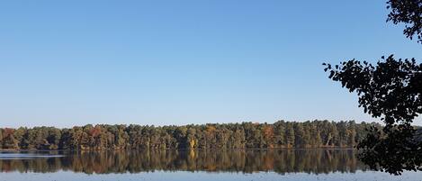 Un lago tranquilo con una orilla boscosa y un cielo despejado.