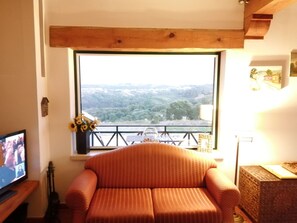 TV, fireplace, table tennis, books