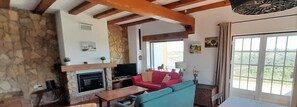 TV, fireplace, table tennis, books