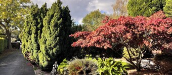 Ashfield Bed and Breakfast