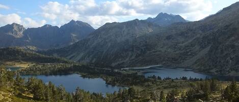 A mountainous landscape with a lake and forested area.