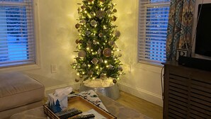 Un salon avec un sapin de Noël, un canapé, une table basse avec des télécommandes et un téléviseur.