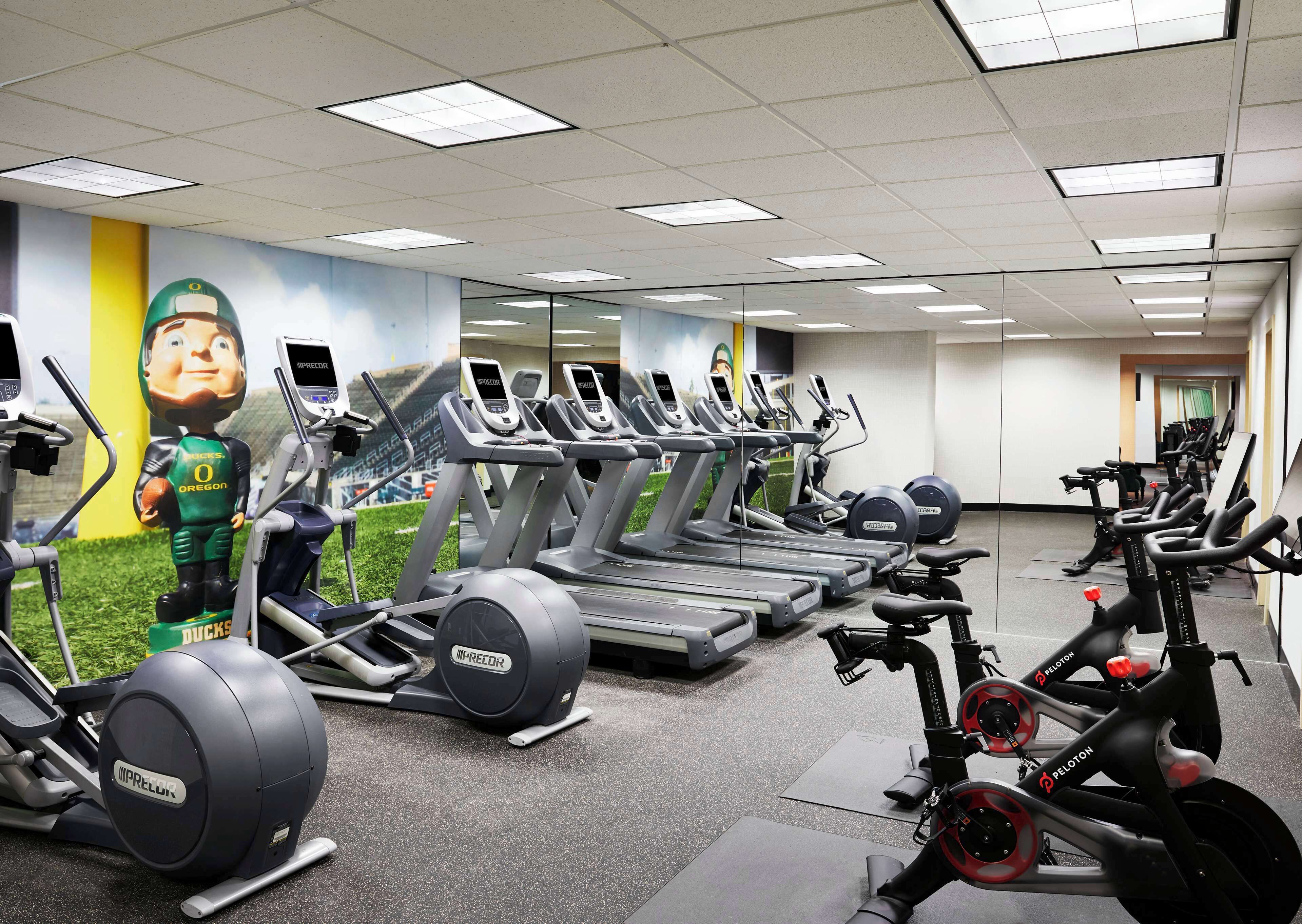 A gym with multiple treadmills, elliptical machines, and stationary bikes.