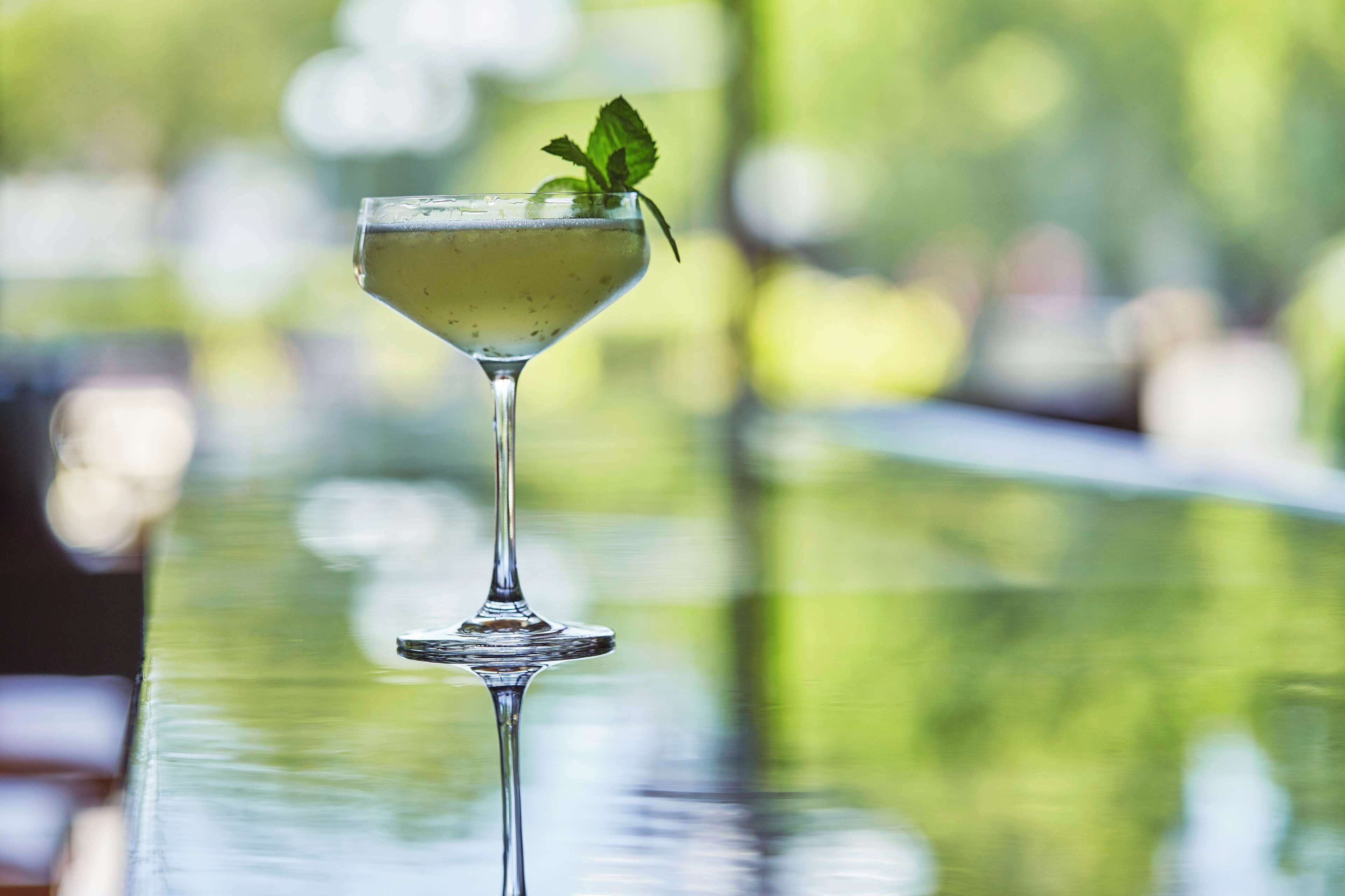 Un cocktail in un bicchiere da martini, guarnito con menta, su un bancone bar riflettente.