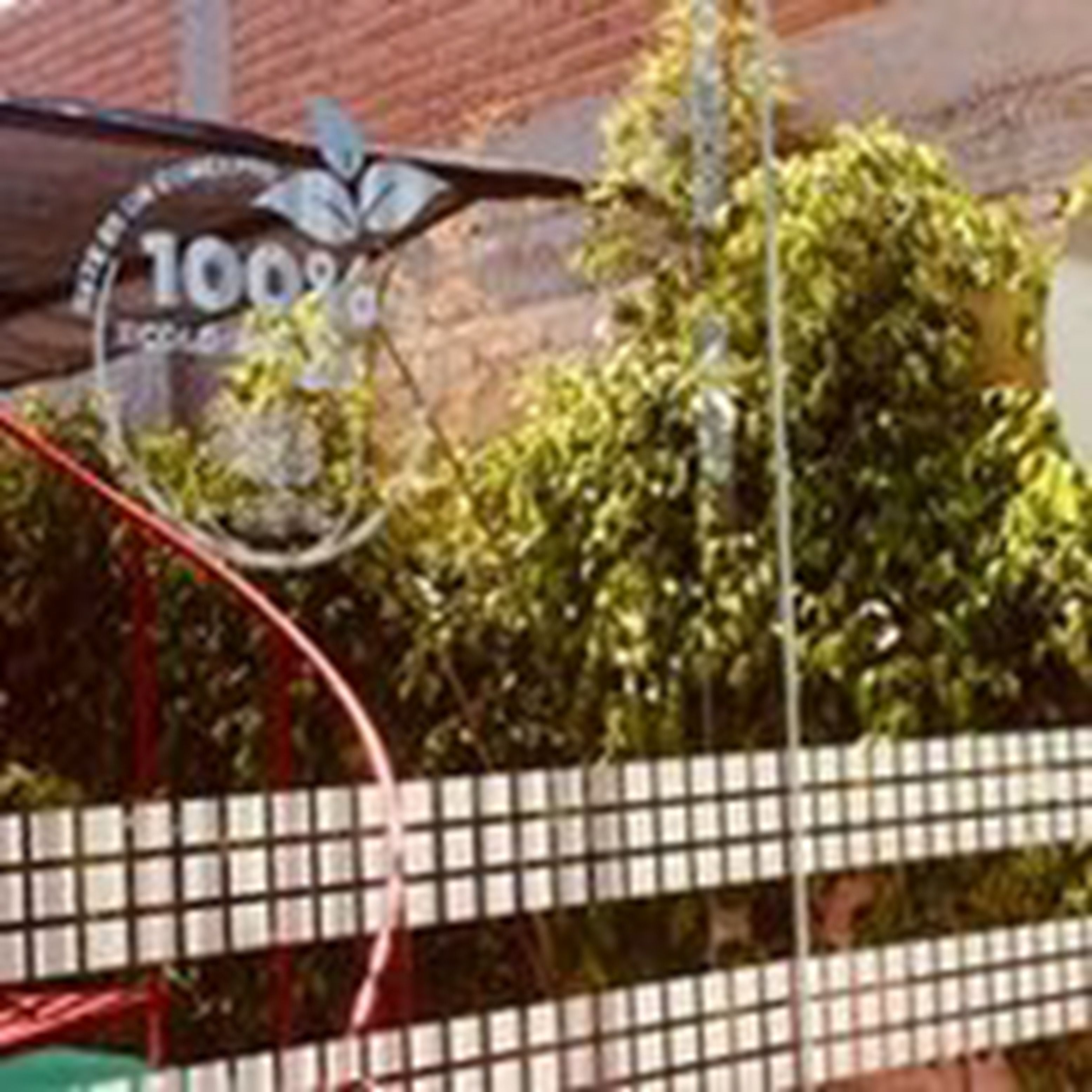 A basketball hoop with a logo, a fence, and greenery in the background.