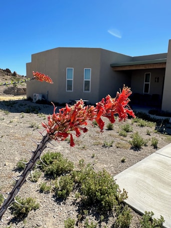 Elite Room | Terrace/patio. Paisano Village RV Park & Inn