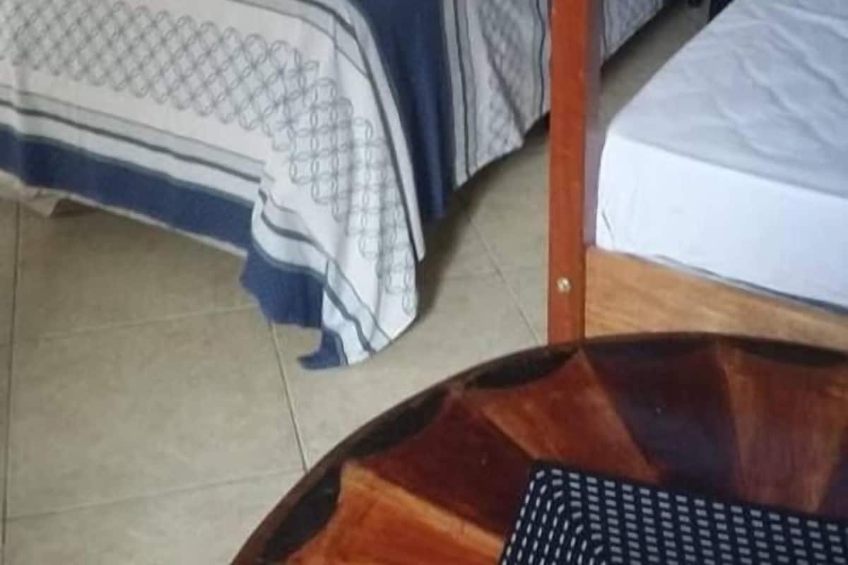 Minibar, wifi gratis y ropa de cama