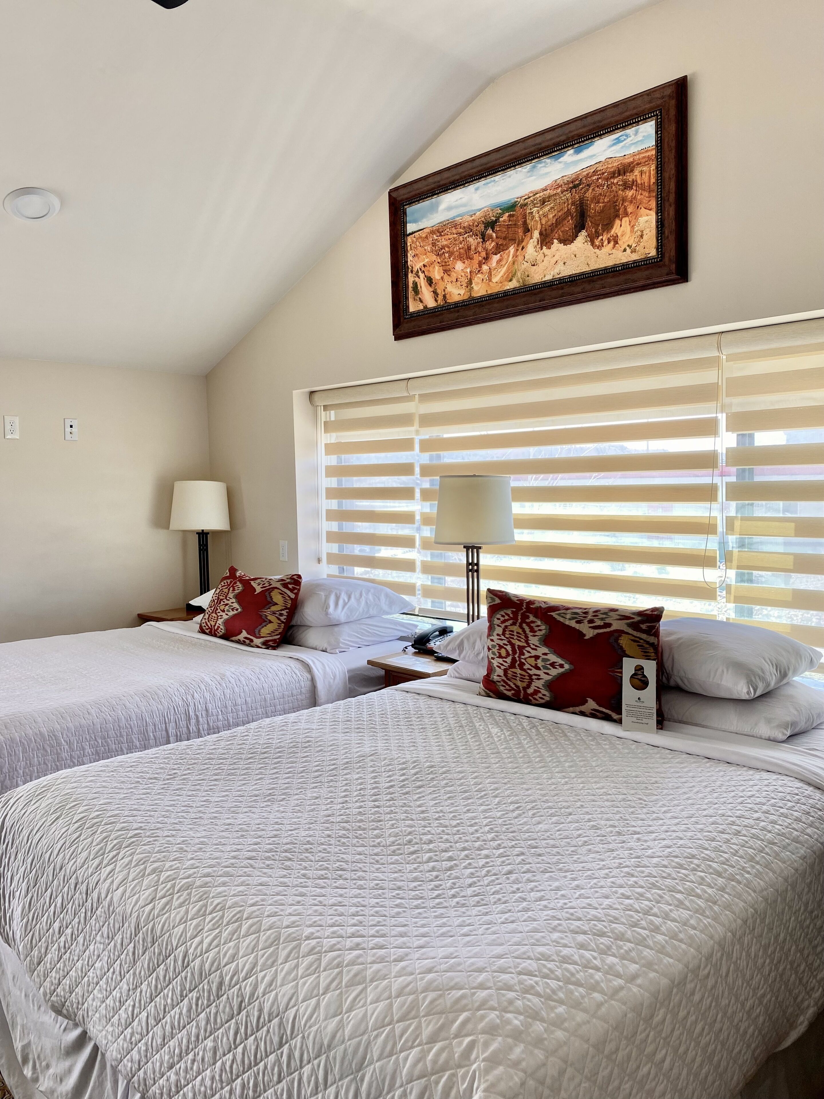 desk, blackout curtains, free wifi, bed sheets