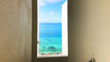 Beach/ocean view