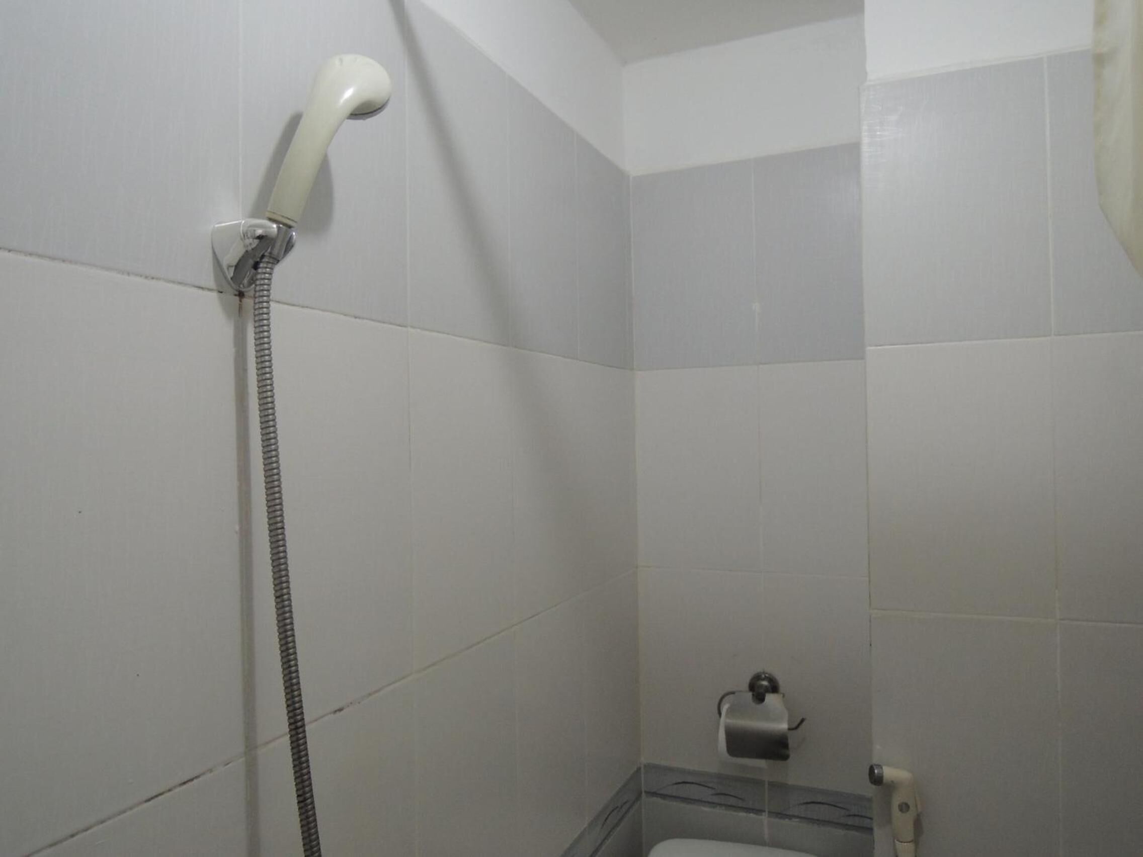 shower, free toiletries, hair dryer, slippers