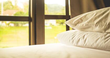 Traveller Bunker Hostel 1